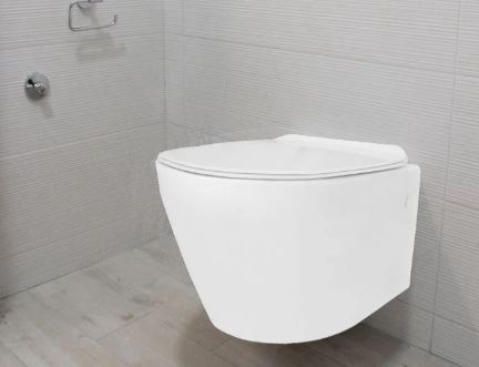 Toilet1